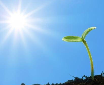 Per toccare il cielo… tra terra e cielo